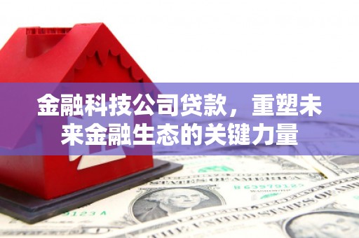 和田金融科技公司贷款，重塑未来金融生态的关键力量