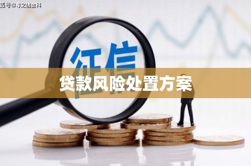 和田贷款风险处置方案