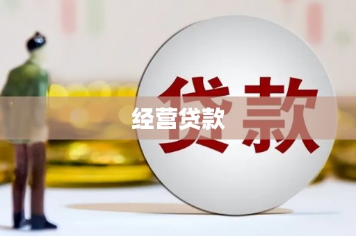 和田经营贷款