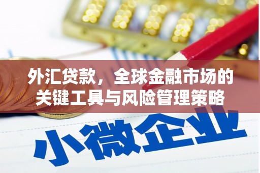 和田外汇贷款，全球金融市场的关键工具与风险管理策略