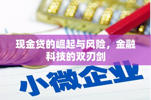 和田现金贷的崛起与风险，金融科技的双刃剑
