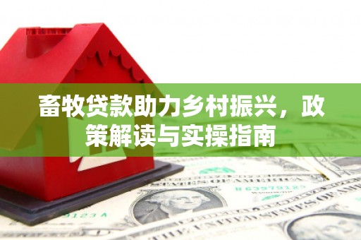 和田畜牧贷款助力乡村振兴，政策解读与实操指南