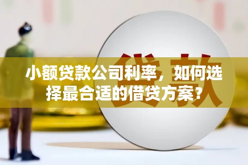 和田小额贷款公司利率，如何选择最合适的借贷方案？