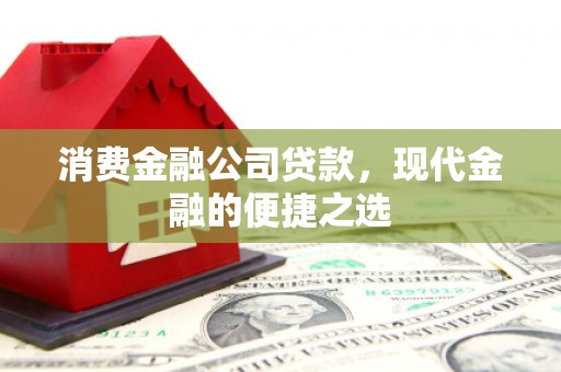 和田消费金融公司贷款，现代金融的便捷之选