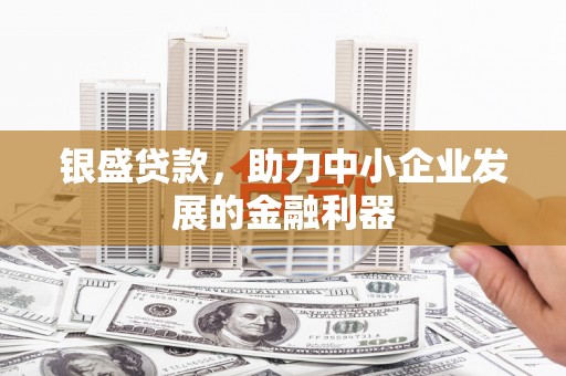 和田银盛贷款，助力中小企业发展的金融利器