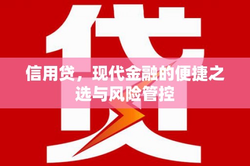 和田信用贷，现代金融的便捷之选与风险管控