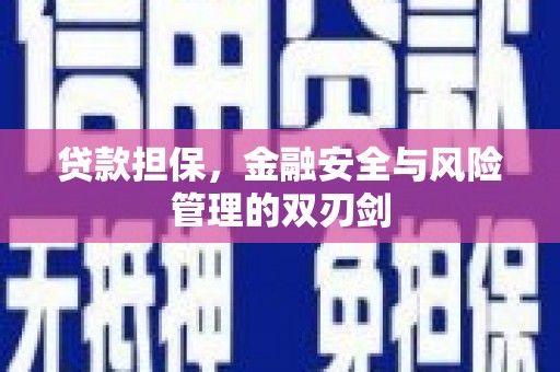 和田贷款担保，金融安全与风险管理的双刃剑