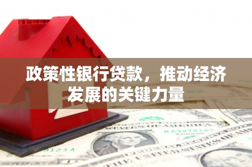 和田政策性银行贷款，推动经济发展的关键力量