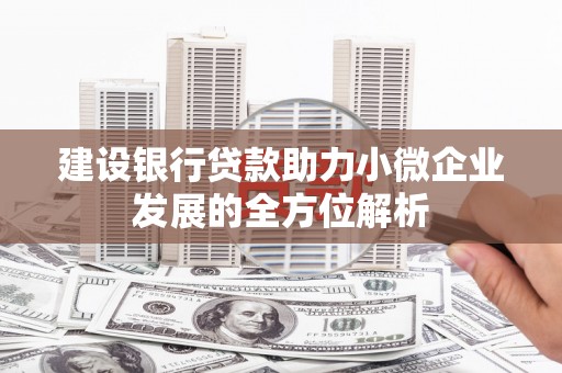和田建设银行贷款助力小微企业发展的全方位解析