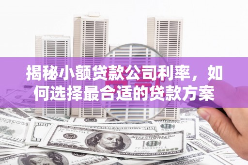 和田揭秘小额贷款公司利率，如何选择最合适的贷款方案