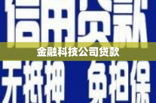 和田金融科技公司贷款