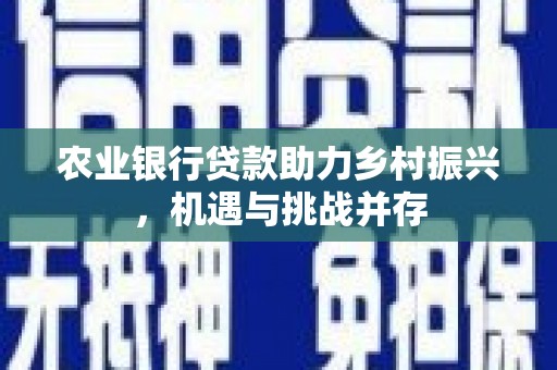 和田农业银行贷款助力乡村振兴，机遇与挑战并存