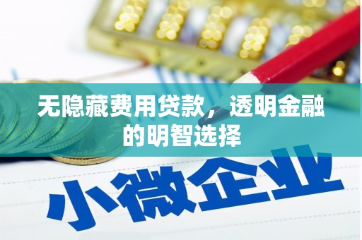 和田无隐藏费用贷款，透明金融的明智选择