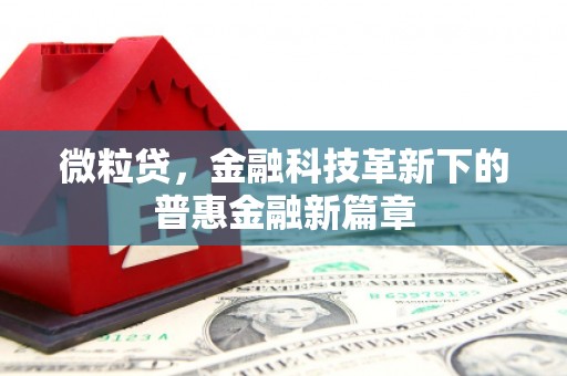 和田微粒贷，金融科技革新下的普惠金融新篇章