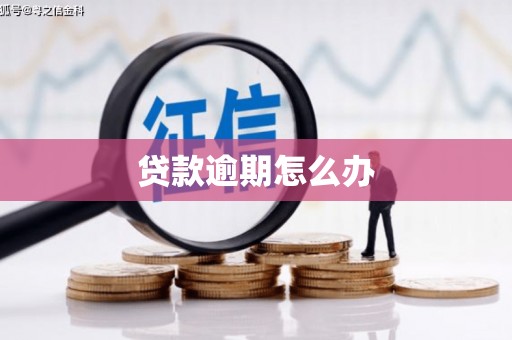 和田贷款逾期怎么办