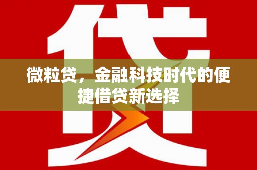 和田微粒贷，金融科技时代的便捷借贷新选择