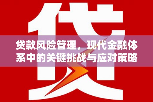 和田贷款风险管理，现代金融体系中的关键挑战与应对策略