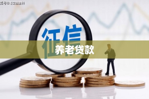 和田养老贷款