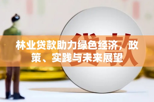 和田林业贷款助力绿色经济，政策、实践与未来展望