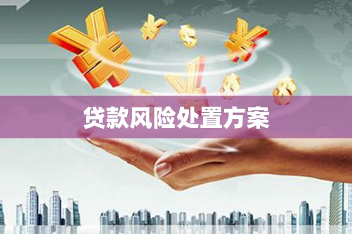 和田贷款风险处置方案