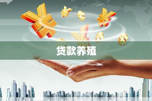 和田贷款养殖