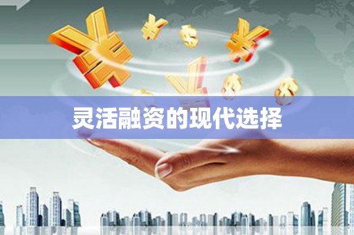 和田灵活融资的现代选择
