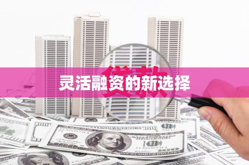 和田灵活融资的新选择