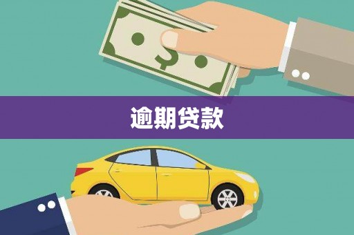 和田逾期贷款