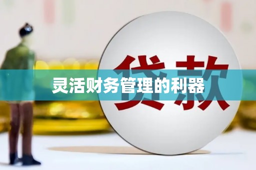 和田灵活财务管理的利器