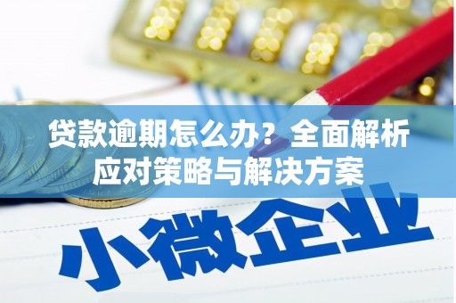和田贷款逾期怎么办？全面解析应对策略与解决方案