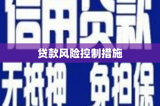 和田贷款风险控制措施
