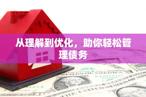 和田从理解到优化，助你轻松管理债务