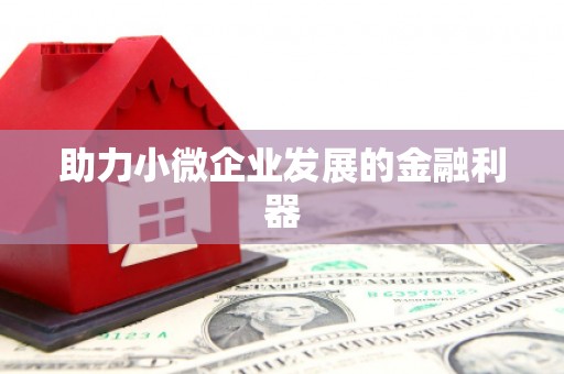 和田助力小微企业发展的金融利器