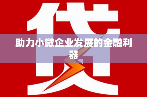 和田助力小微企业发展的金融利器