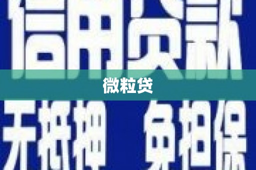 和田微粒贷