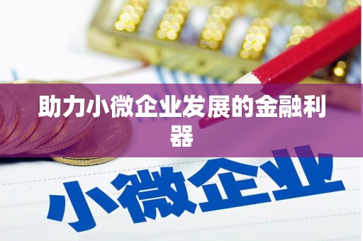 和田助力小微企业发展的金融利器