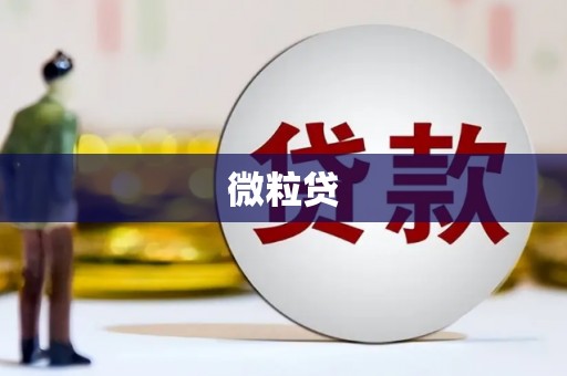 和田微粒贷