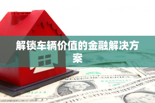 和田解锁车辆价值的金融解决方案