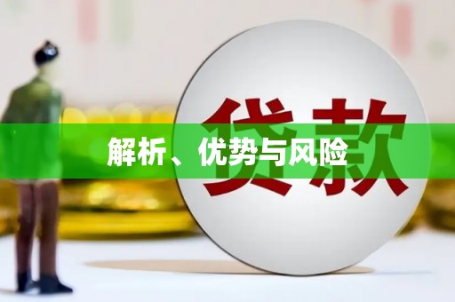 和田解析、优势与风险