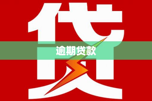 和田逾期贷款