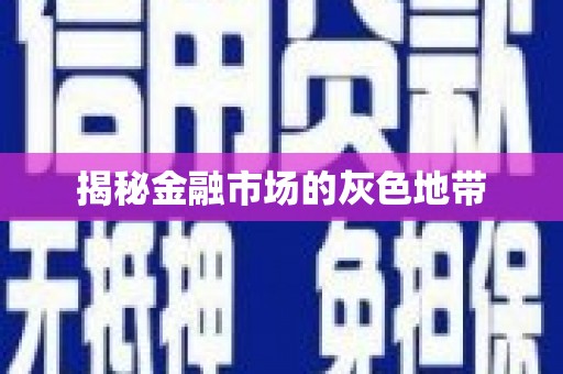 和田揭秘金融市场的灰色地带