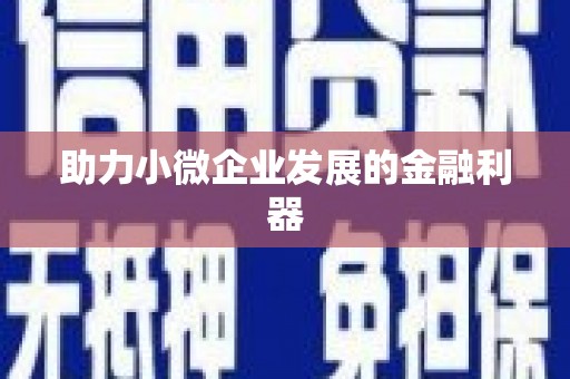 和田助力小微企业发展的金融利器