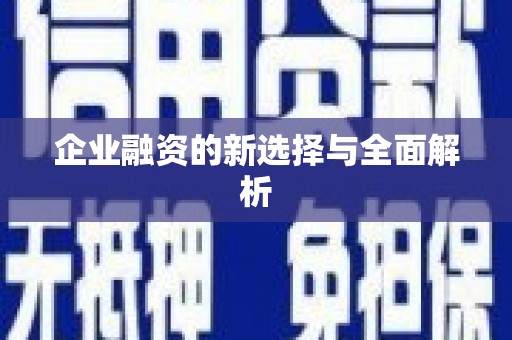 和田企业融资的新选择与全面解析