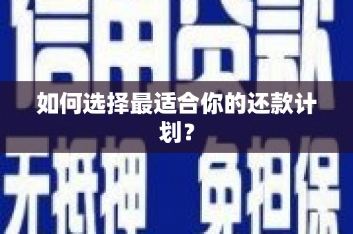 和田如何选择最适合你的还款计划？
