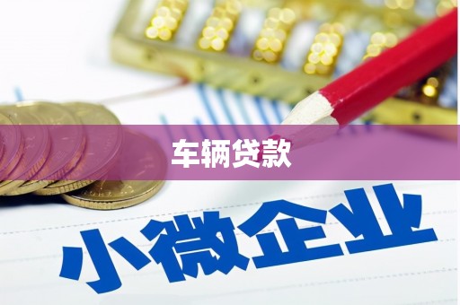 和田车辆贷款