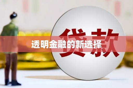 和田透明金融的新选择