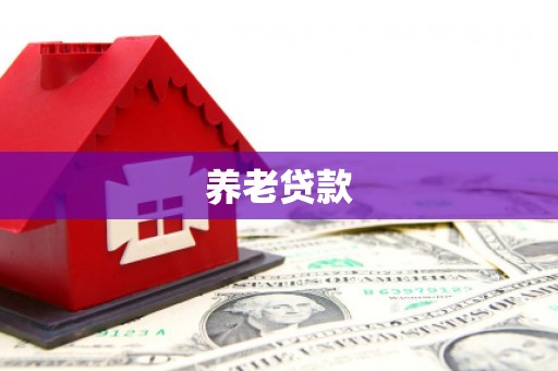 和田养老贷款